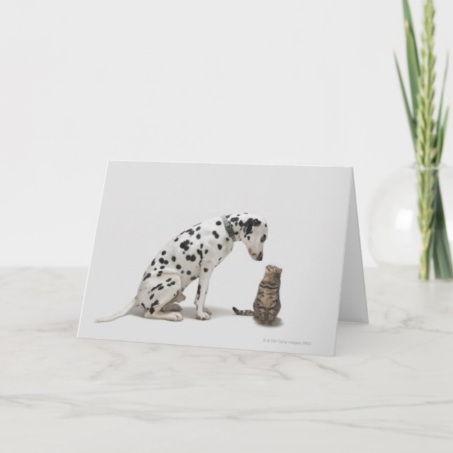 En hund tittar på en katt kort (Framsida)