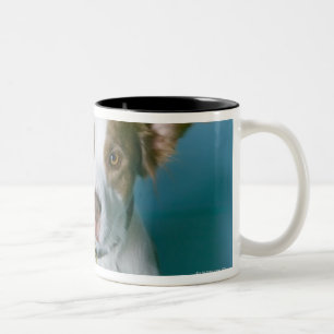 En hund Två-Tonad mugg