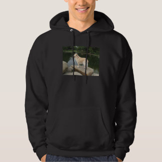 En hund vid en damm hoodie
