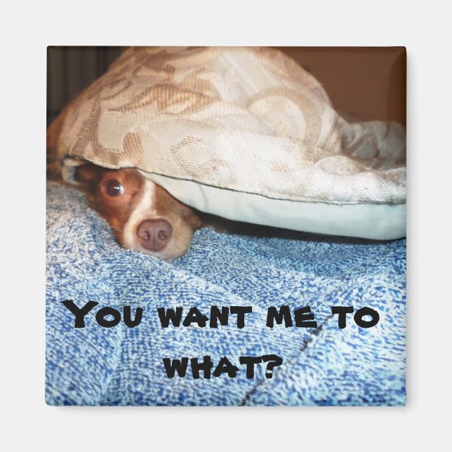 En hund vid namn Mia Magnet (Framsidan)