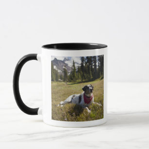 En hund vilar, når den har fotvandrat till mugg