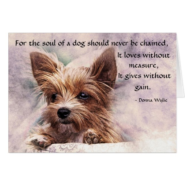 En Hund - Yorkie Hälsningskort (Framsidan Horizontal)