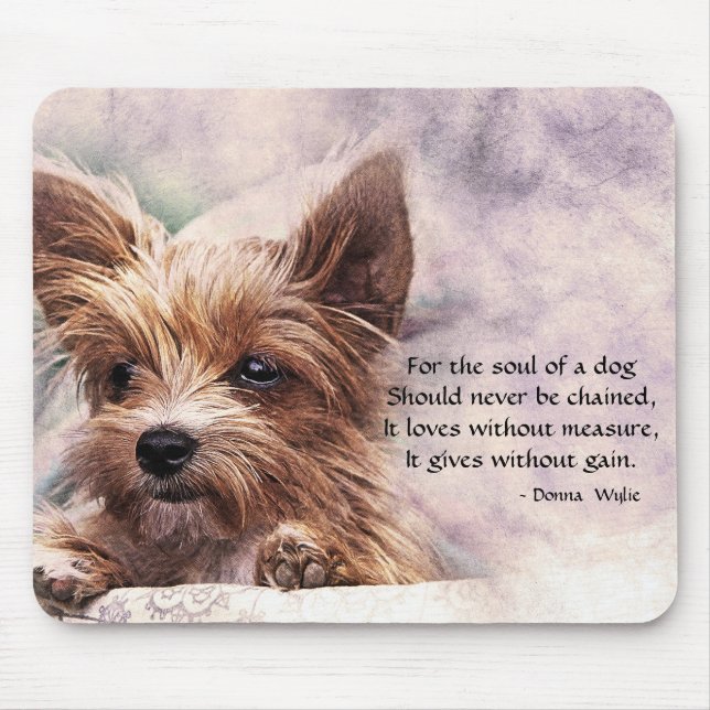 En Hund - Yorkie Musmatta (Framsidan)