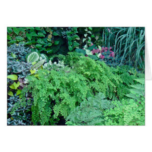 En hundra Grönt-Grönt är vacker Hälsningskort