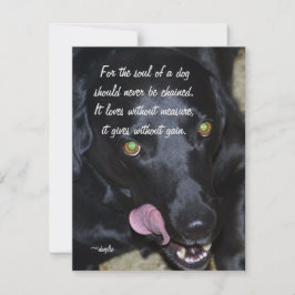 En hundsjäl - Labrador Retriever Julkort