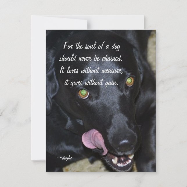 En hundsjäl - Labrador Retriever Julkort (Framsida)