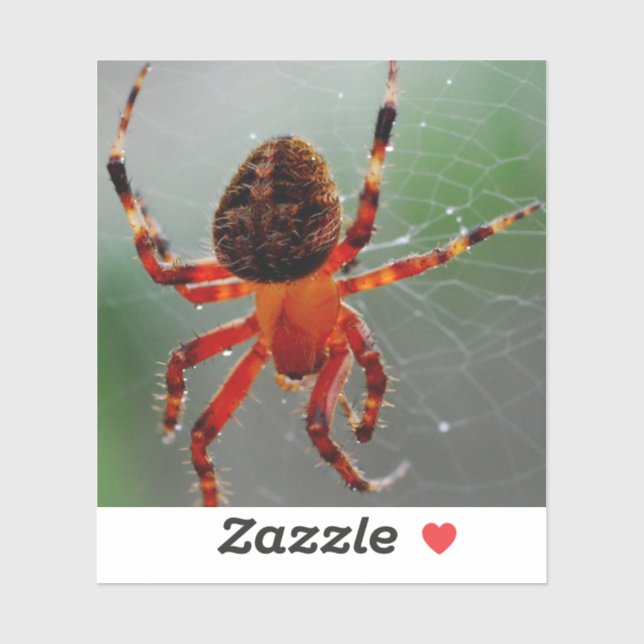 En Hungrig spider Waits Klistermärken (Ark)