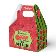En i Melon Watermelon First Birthday Photo