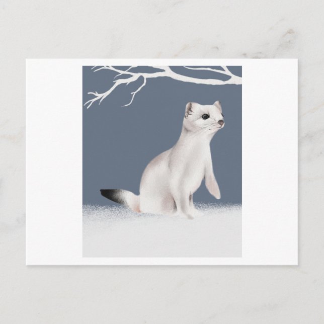 En illustration av en väv som är målad i vattenfär vykort (Framsida)