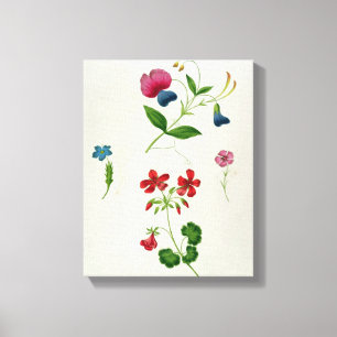En illustration från 'en ny avhandling på blomma canvastryck