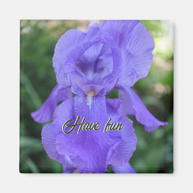 En Impish Iris Delikate Lila Dancer Magnet (Framsidan)
