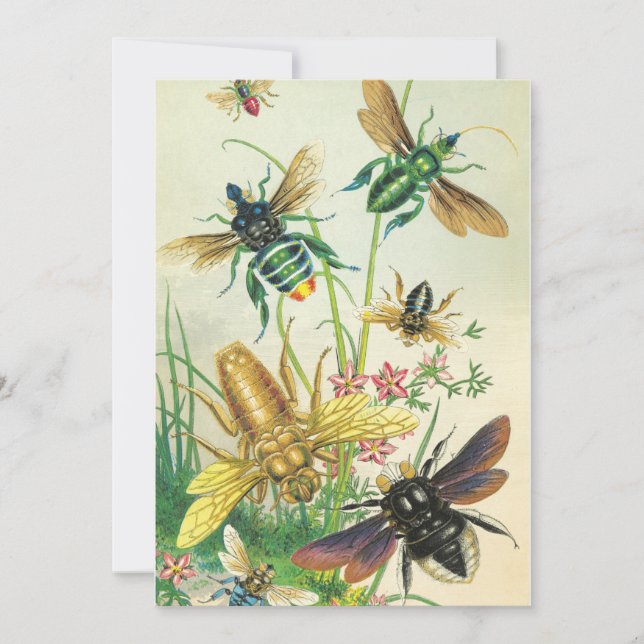 En inbjudan till Bes-partiet (Framsida)