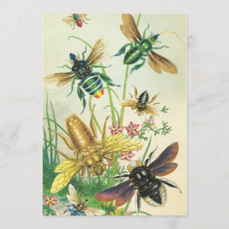 En inbjudan till Bes-partiet