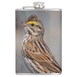 En inkvisitiv Savannah Sparrow Fickplunta