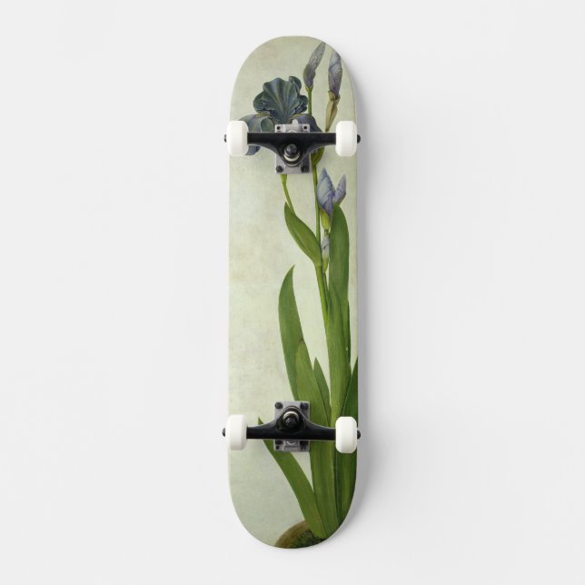 En Iris Skateboard Bräda 19,5 Cm (Framsida)