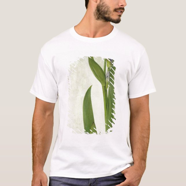 En Iris Tee Shirt (Framsida)