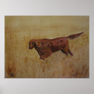 En irländsk friluftsdag poster