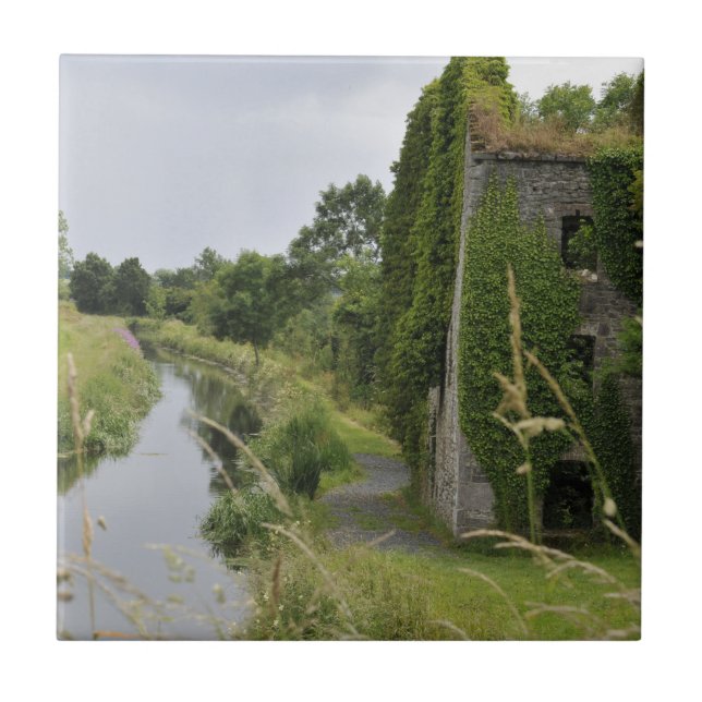 En irländsk kanal kakelplatta (Framsidan)