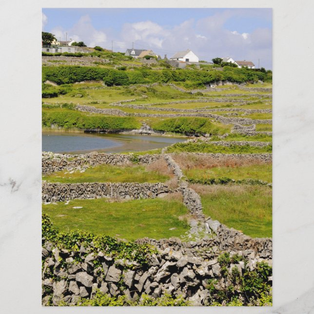 En irländsk stenmur (Framsida)