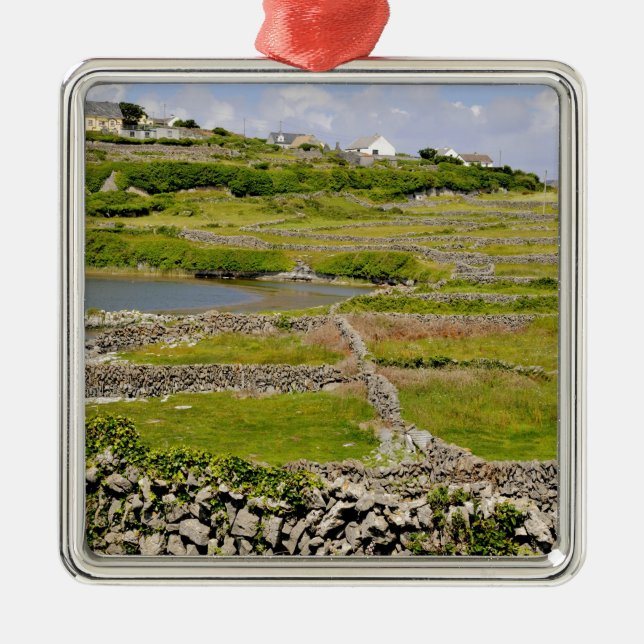 En irländsk stenmur julgransprydnad metall (Framsidan)