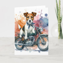 En Jack Russell på Bike