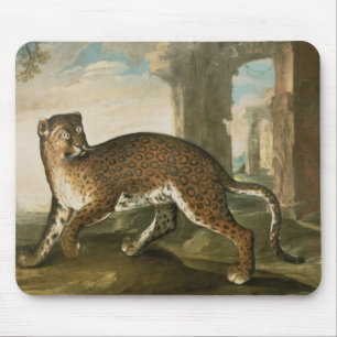 En jaguar musmatta