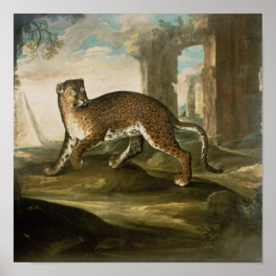 En jaguar poster