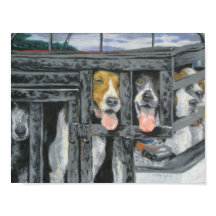 "En jakt vi kommer att gå"