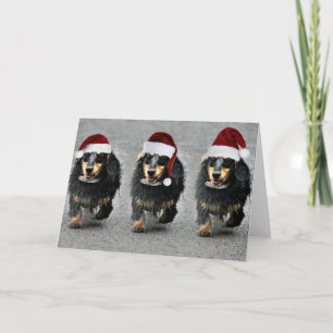 En Jasper SausageChristmas Helgkort