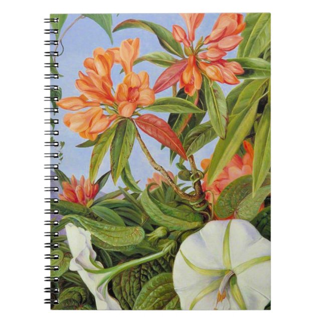 En javanrhododendron och Ipomoea Anteckningsbok (Framsidan)