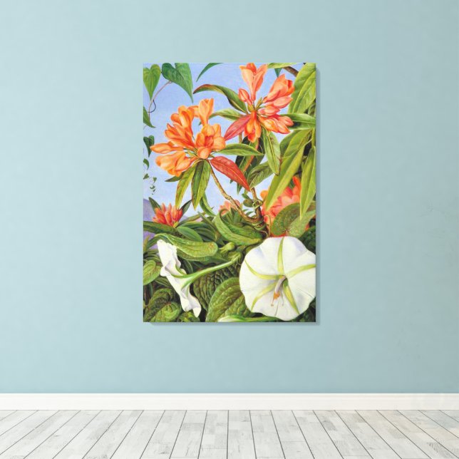 En javanrhododendron och Ipomoea Canvastryck (Insitu (trägolv))