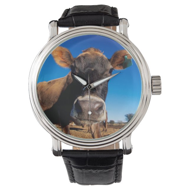 En Jerseyko som är nyfiken Armbandsur (Framsida)