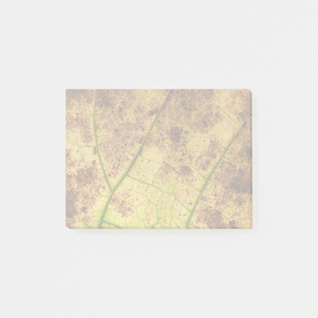 En jordad Gult och en brun makro-bild av Löv Post-it Block (Framsida)