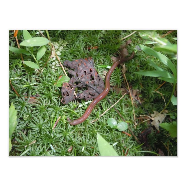 En jordmask fototryck (Framsidan)