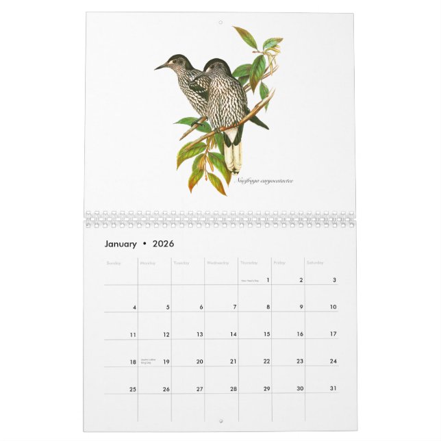 En kalender av fågelpainitings från John Gould. (Jan 2026)