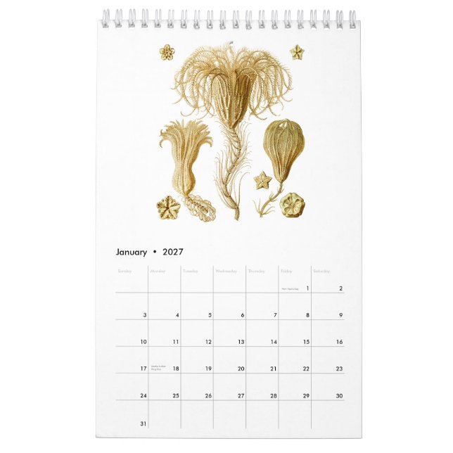 En kalender av några teckningar av Ernst Haeckel (Jan 2027)