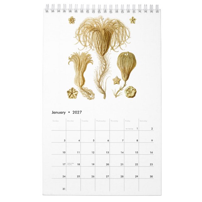 En kalender av teckningar från Ernst Haeckel (Jan 2027)