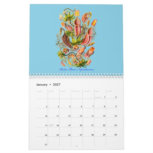 En kalender av växter av Ernst Haeckel (Jan 2027)