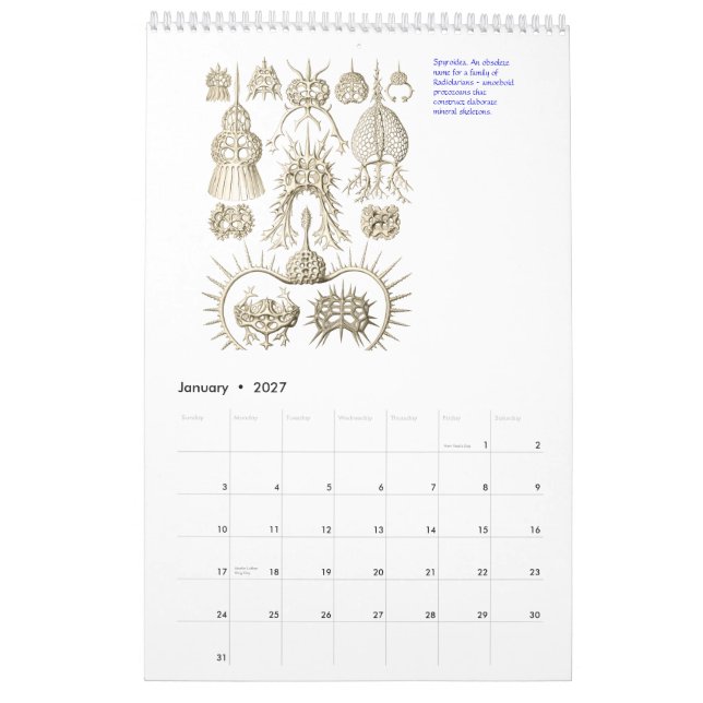 En kalender från teckningarna av Ernst Haeckel. (Jan 2027)