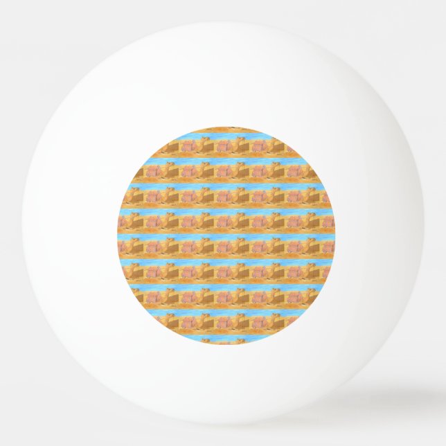 En kamelpong boll (Framsidan)