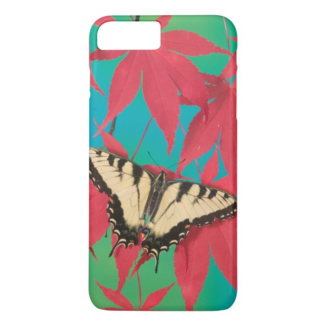 En kanadensisk tiger Swallowtail Butterfly Case-Mate iPhone Skal (Baksida)