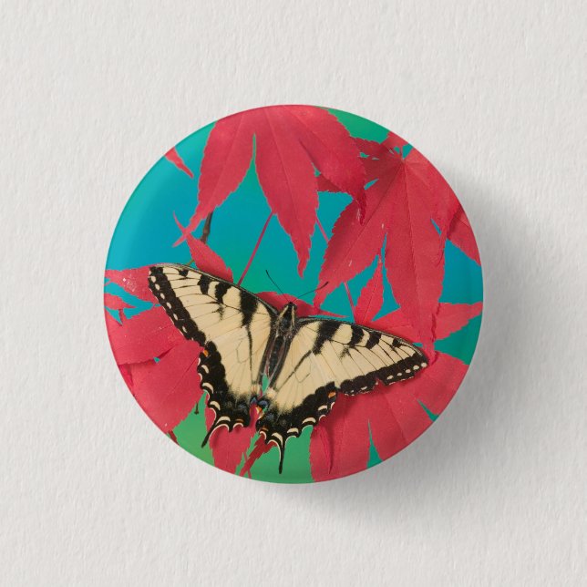 En kanadensisk tiger swallowtail fjäril knapp (Framsida)