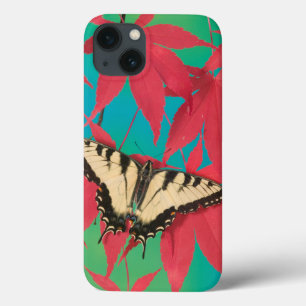 En kanadensisk tigerSwallowtail fjäril
