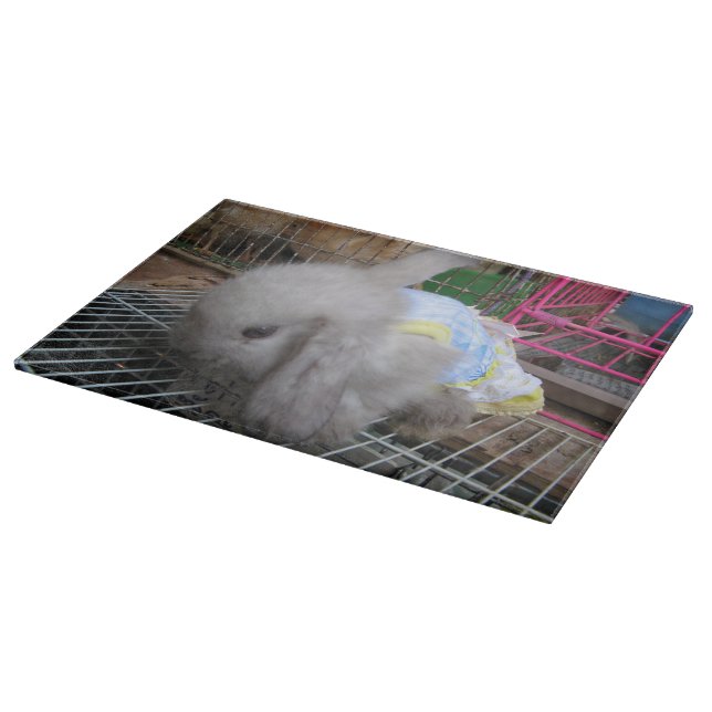 En kanin i en klänning (Hörn)