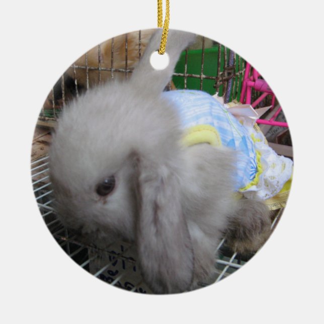 En kanin i en klänning julgransprydnad keramik (Framsidan)