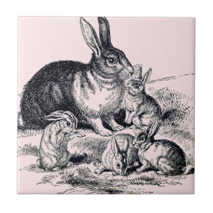 En kaninfamilj - illustration av vintagen kakelplatta