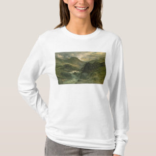 En kanjon, 1878 t shirt