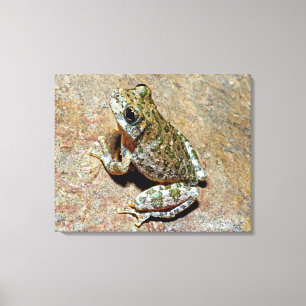 En kanjon Treefrog Canvastryck