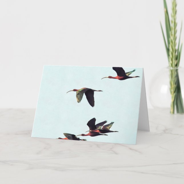 En kanten av Ibises under flygning Kort (Framsida)
