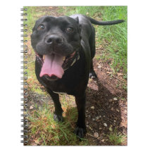 En Käpp Corso X bärbar dator